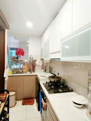 The Visionaire (D27), Condominium #497907231